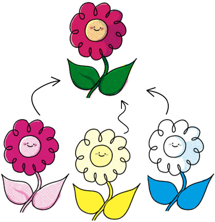 Illustration of a flower, showing how cyan, yellow and magenta color channels create a full-color version.