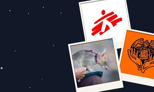 Three Polaroid-style images show: the Doctors Without Borders logo, an orange "every Child Matters" graphic, and a photo of a mine-detecting Hero Rat.