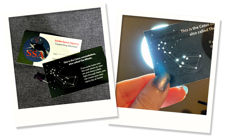 Two polaroid photos: the left shows a card with a space agency logo on the front and constellation on the back; the right photo shows a hand holding the card against a light, the constellation glowing through tiny pinprick holes.