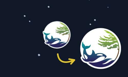 The Sea to Tree orca logomark before and after its 2023 redesign